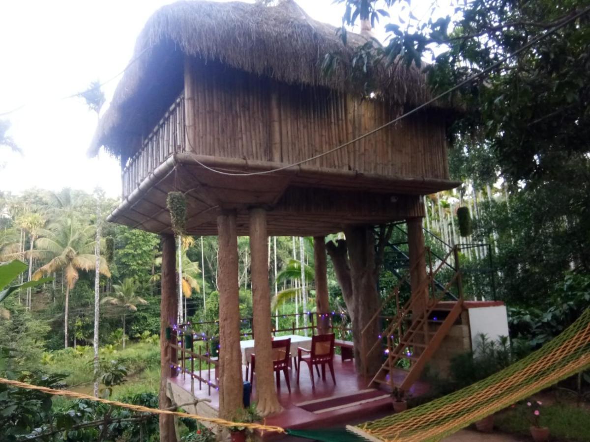 Kalidasa Tree House And Villa, Wayanad Chegat Exterior photo