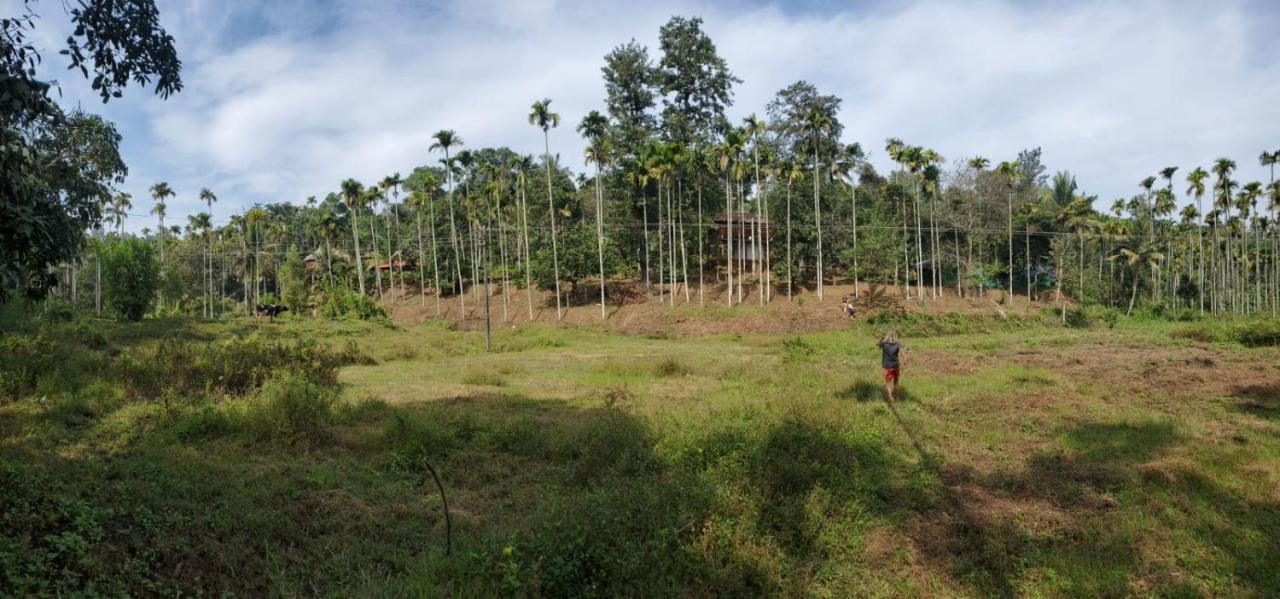 Kalidasa Tree House And Villa, Wayanad Chegat Exterior photo