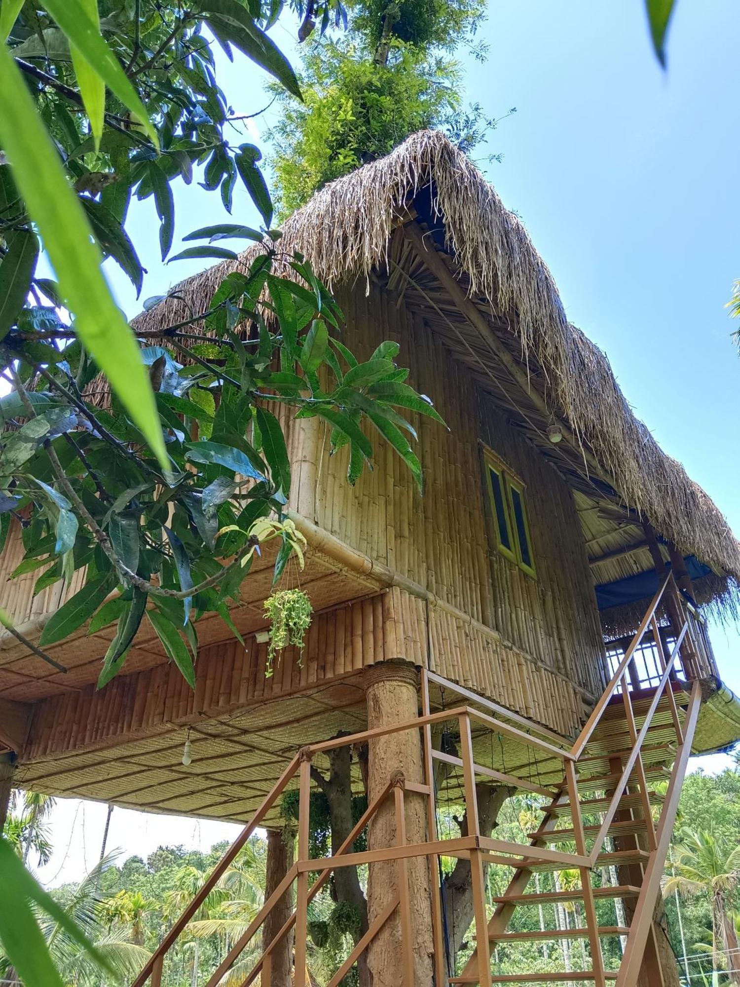 Kalidasa Tree House And Villa, Wayanad Chegat Room photo